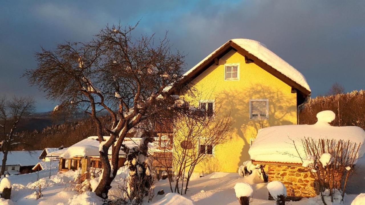 Ferienwohnung Sigi'S Waldhaus Neuschönau Exterior foto
